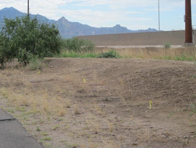 Berm